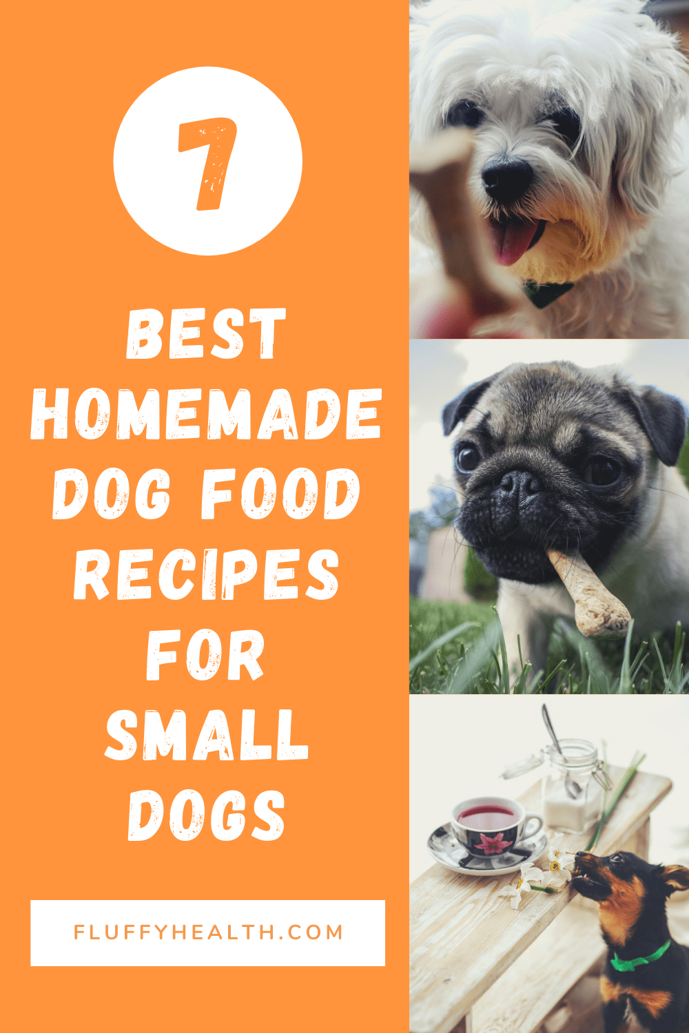 7 Best Homemade Dog Food Recipes For Small Dogs Fluffyhealth