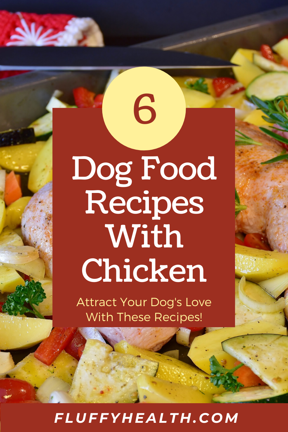 What Is Chicken Meal For Dogs 6 Dog Food Recipes With Chicken, 4 Is