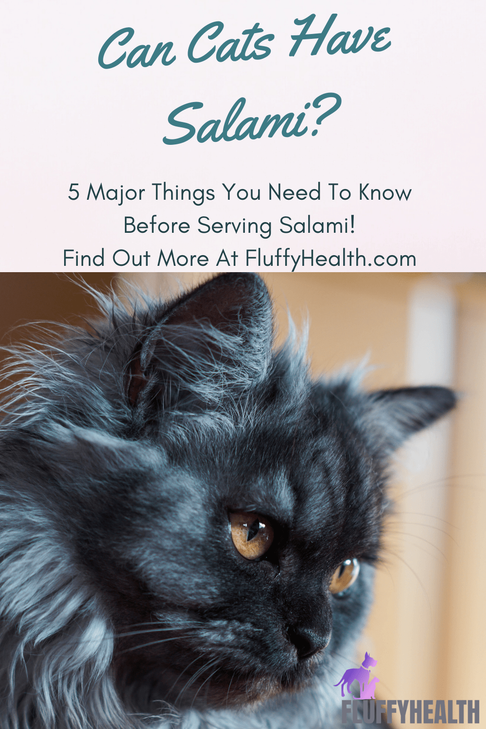 Can Cats Have Salami? 5 Major Things You Need To Know Before Serving Salami! Fluffyhealth