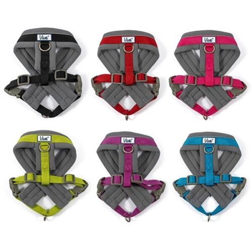 Ancol Viva padded harness range Fluffy Paws Doggie Daycare