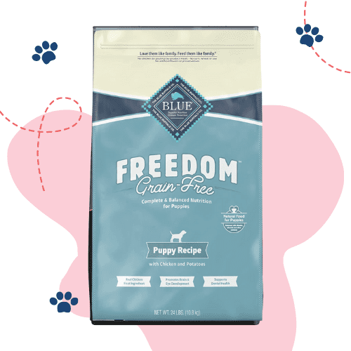 The 7 Best Dog Foods For Morkies [ 2023 ]
