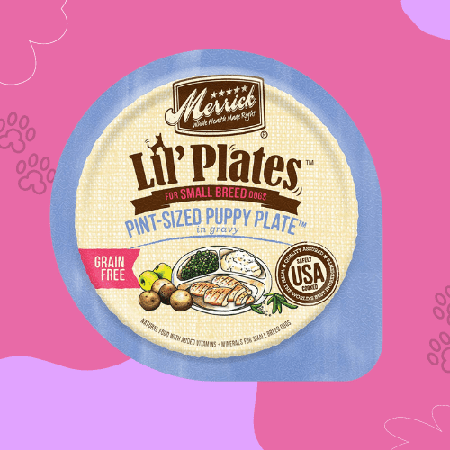 The 7 Best Dog Foods For Morkies [ 2023 ]