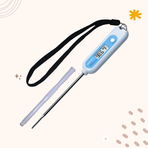 The 8 Best Dog Thermometers in 2023