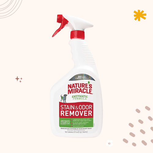 The 8 Best Pet Odor Eliminator in 2023