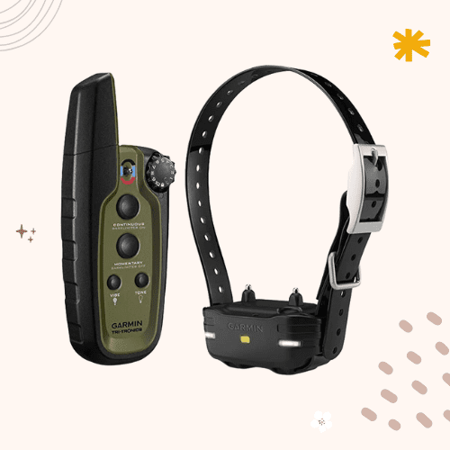 The 8 Best Vibrating Dog Collars in 2023