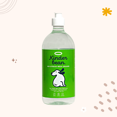 The 8 Best Pet Odor Eliminator in 2023