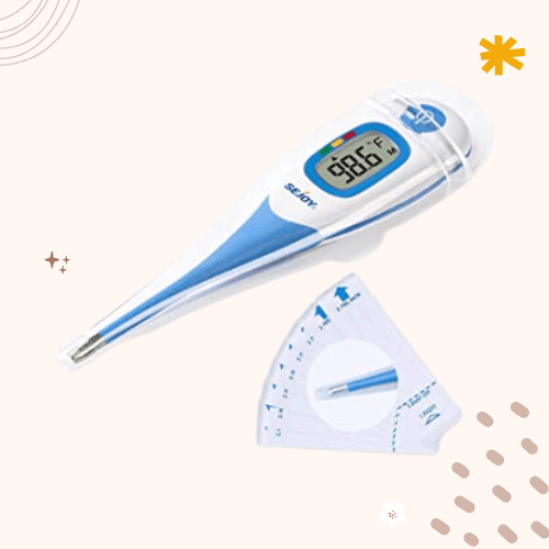 The 8 Best Dog Thermometers in 2023