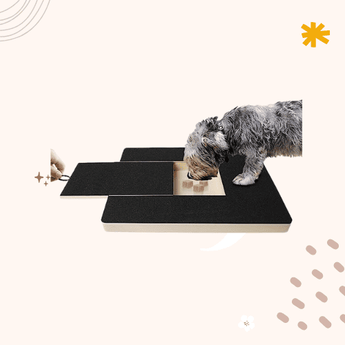 The 8 Best Dog Scratch Boards for Nails [2023 Update]