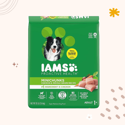 The 13 Best Dry Dog Foods in 2023