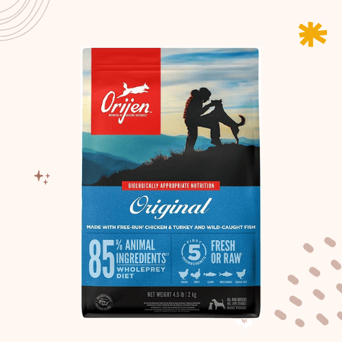 The 13 Best Dry Dog Foods in 2023