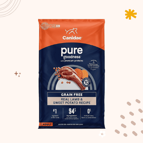 The 14 Best GrainFree Dog Foods [ 2023 ]