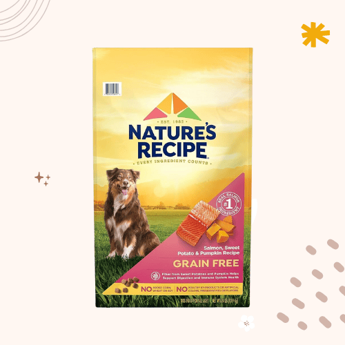 Best Affordable Dog Food Canada at Luke Hughes blog