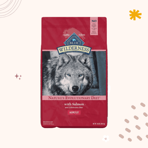 The 14 Best Affordable Dog Foods [ 2023 ]