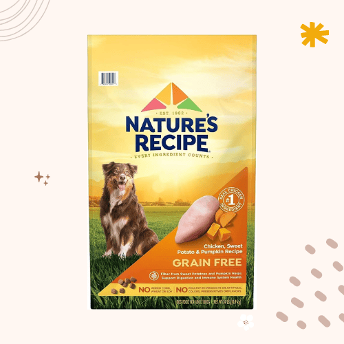 The 14 Best Affordable Dog Foods [ 2023 ]