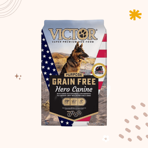 The 14 Best Affordable Dog Foods [ 2023 ]