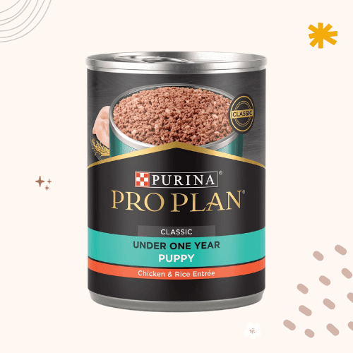 The 13 Best Large Breed Puppy Foods [ 2023 Update ]