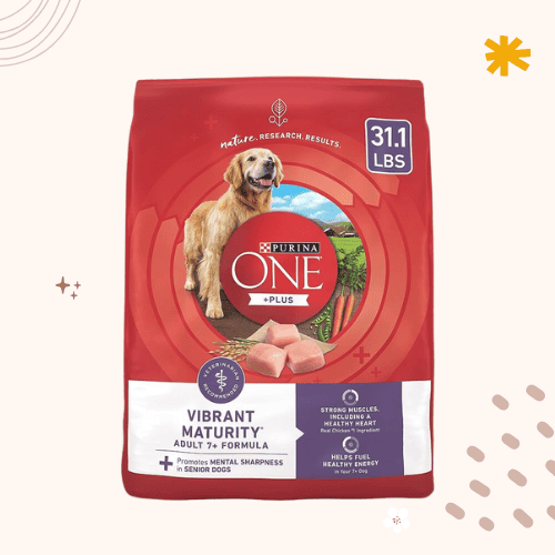 The 14 Best Affordable Dog Foods [ 2023 ]