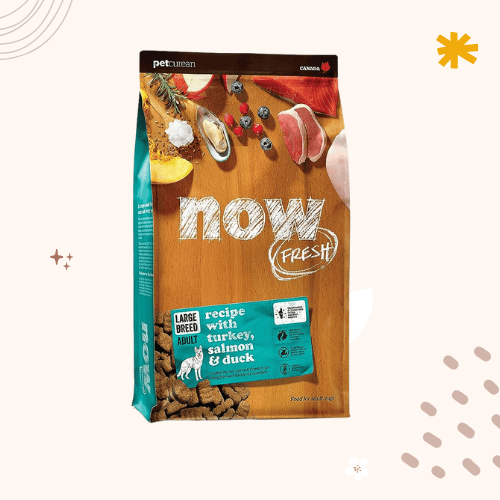 The 13 Best Large Breed Dog Food in 2023