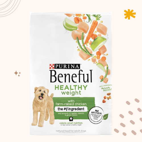 The 13 Best Dog Foods for Puggles [ 2023 ]