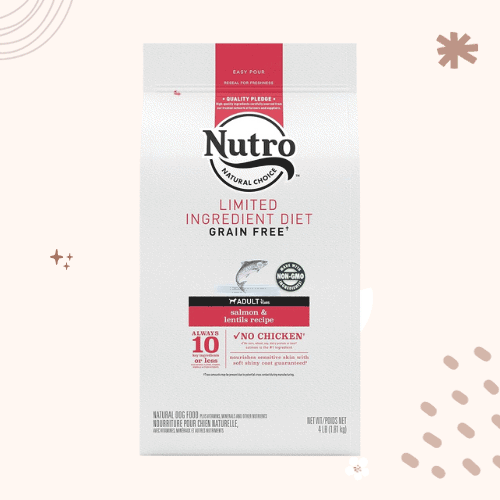 13 Best Dog Foods for West Highland White Terriers [ 2023 ]