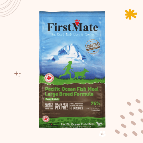 The 13 Best Dog Foods for Saint Bernards in 2023