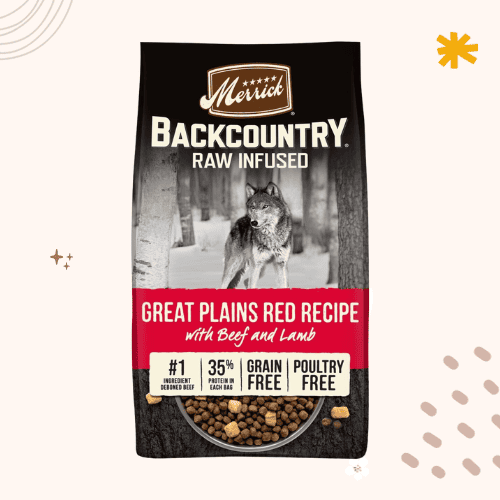 The 13 Best Dog Foods for Saint Bernards in 2023