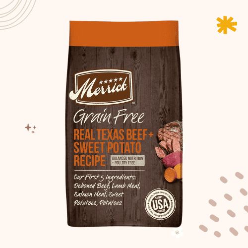 13 Best Dog Foods for German Shorthaired Pointers [ 2023 ]