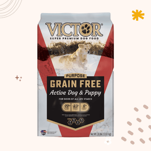 The 13 Best Dog Foods for Puggles [ 2023 ]