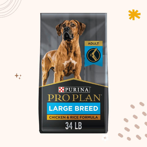 The 13 Best Dog Foods for Saint Bernards in 2023