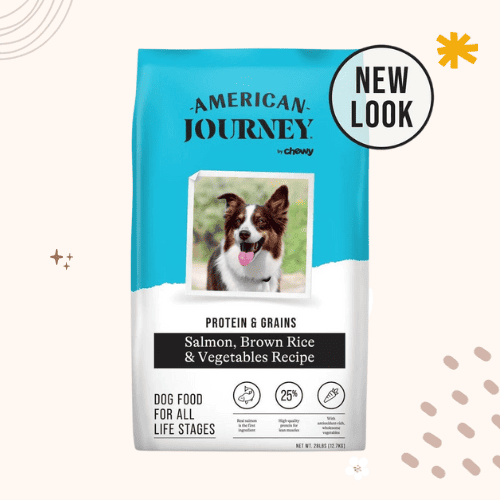 The 13 Best Dog Foods for Havanese [ 2023 ]