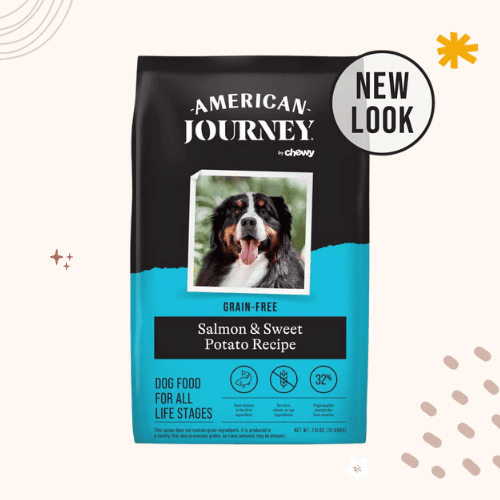 The 7 Best Dog Foods For Wheaten Terriers [ 2023 ]