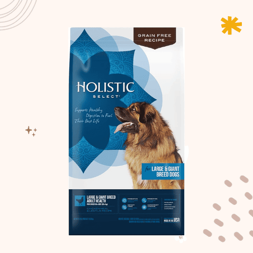 The 13 Best Dog Foods for Saint Bernards in 2023