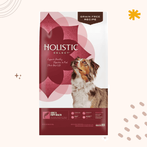 The 13 Best Dog Foods for Puggles [ 2023 ]