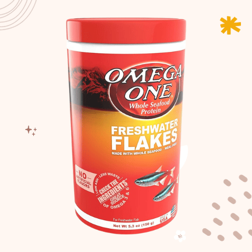 Best Fish Food for Mollies [2023 Update]