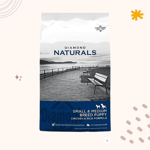 The 13 Best Dog Foods for Havanese [ 2023 ]