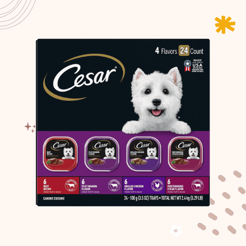 The 7 Best Dog Foods for Yorkshire Terriers [ 2023 ]