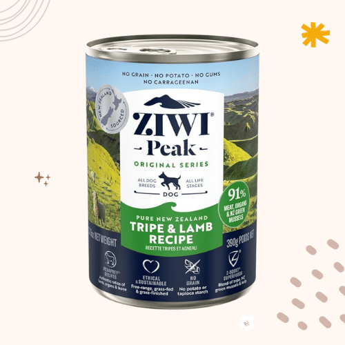 The 7 Best Dog Foods For Wheaten Terriers [ 2023 ]