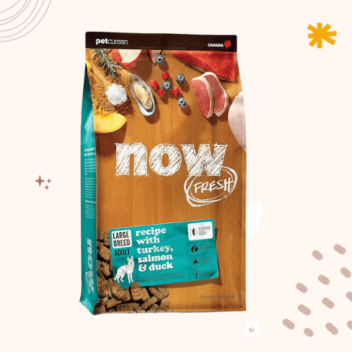 The 13 Best Dog Foods for Saint Bernards in 2023