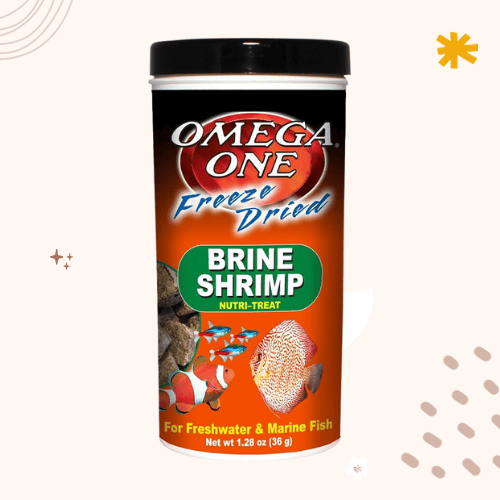 Best Fish Food for Mollies [2023 Update]