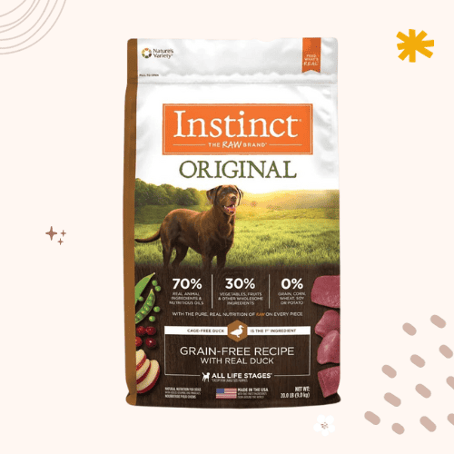 The 13 Best Dog Foods for Saint Bernards in 2023