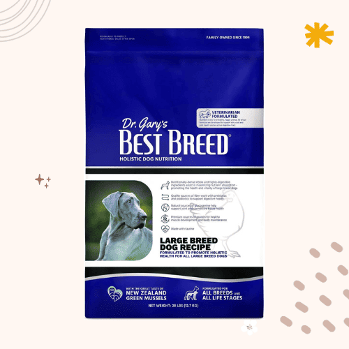 13 Best Dog Foods for Bernese Mountain Dogs [ 2023 ]