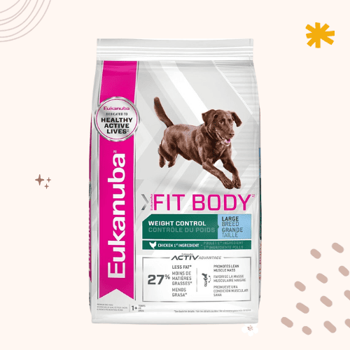 13 Best Dog Foods for Bernese Mountain Dogs [ 2023 ]