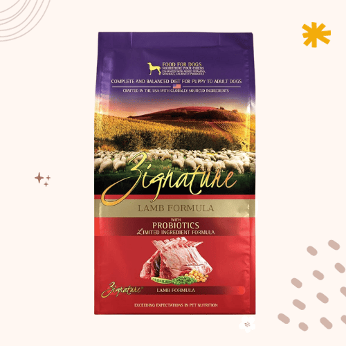 The 13 Best Dog Foods For Coonhounds [ 2023 ]