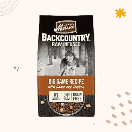 13 Best Dog Foods for Bernese Mountain Dogs [ 2023 ]