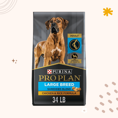 13 Best Dog Foods for Bernese Mountain Dogs [ 2023 ]