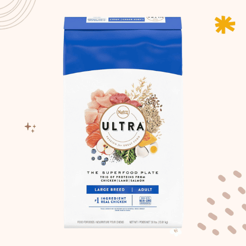 13 Best Dog Foods for Bernese Mountain Dogs [ 2023 ]