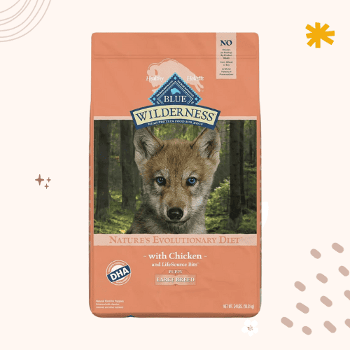 13 Best Dog Foods for Bernese Mountain Dogs [ 2023 ]