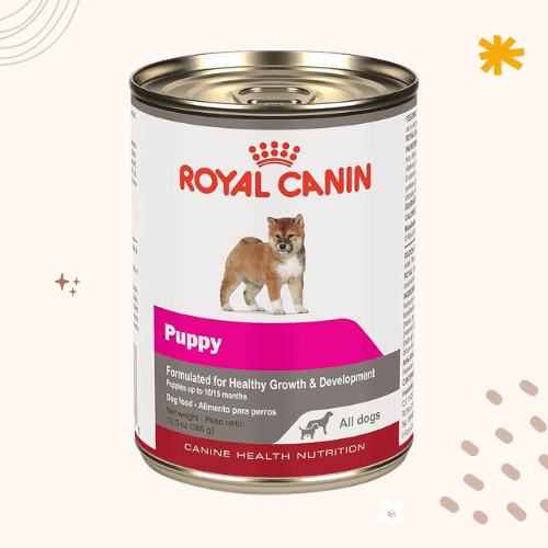 The 13 Best Dog Foods for Pomsky [ 2023 ]