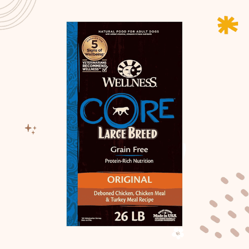 13 Best Dog Foods for Bernese Mountain Dogs [ 2023 ]