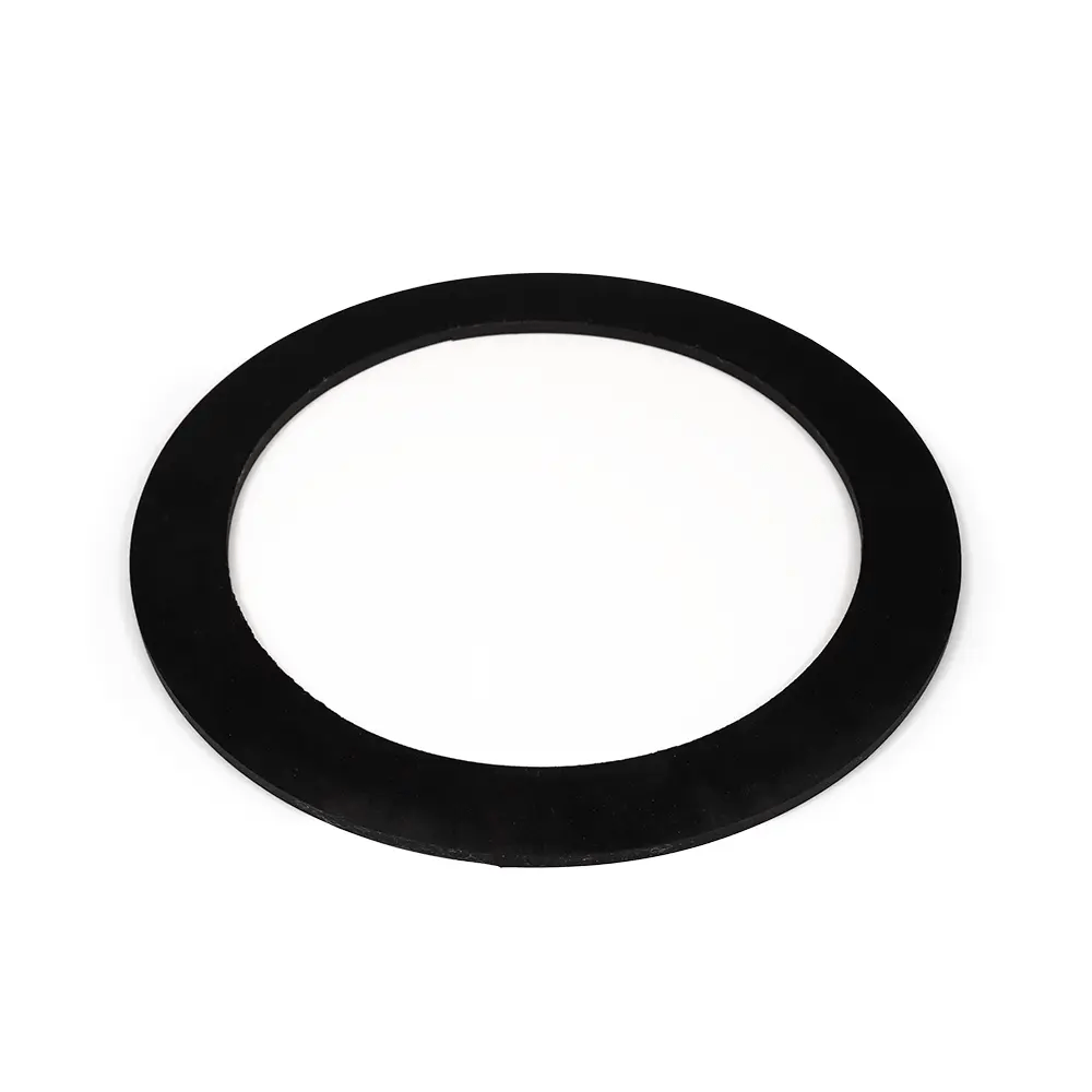 Gaskets Spare Parts for Basket Strainers Fluidtrol